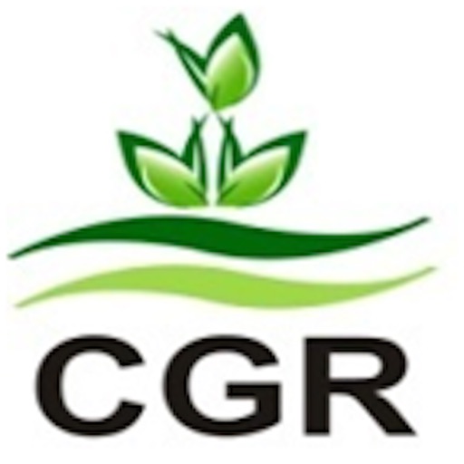 CGR Mandi