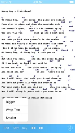 Songbook Simple screenshot 4