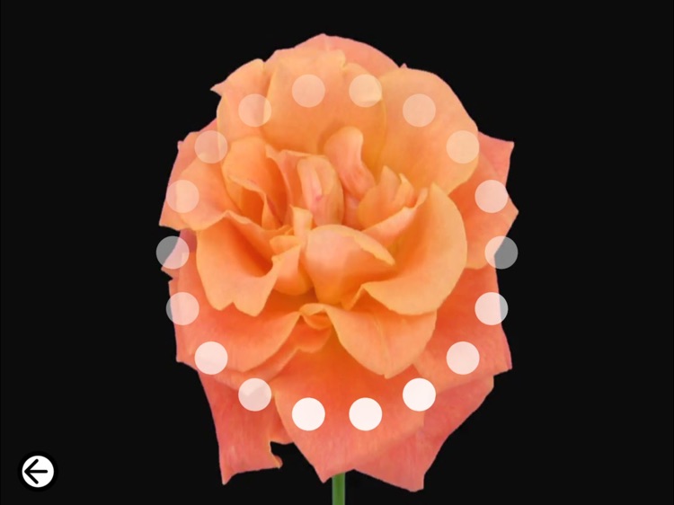 DIGICORO くるくるタイム screenshot-3