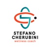 HS Program-Stefano Cherubini icon