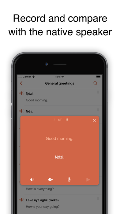 Nkyea Ewe Phrasebook Screenshot