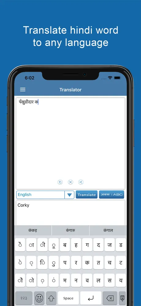 Hindi Dictionary & Translator