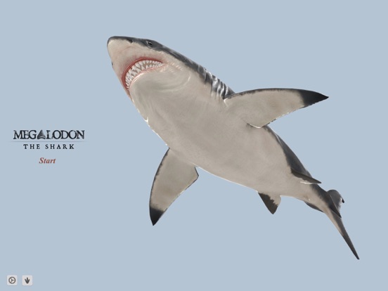 Screenshot #4 pour Megalodon