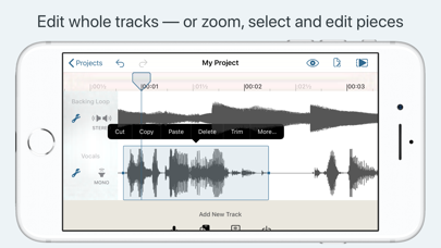 Screenshot #2 pour Hokusai Audio Editor