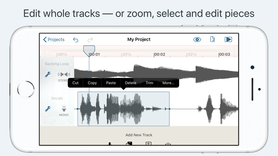 #2. Hokusai Audio Editor (iOS) 由: Wooji Juice Ltd