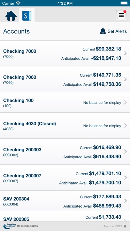 Freedom National Bank Business screenshot-3