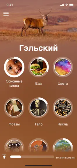 Game screenshot Учи гэльский - EuroTalk mod apk