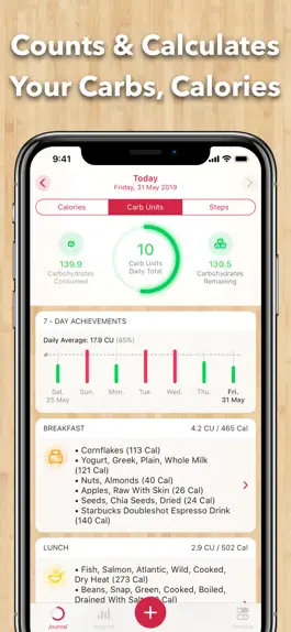 Game screenshot Carb Unit Diary for Diabetics apk