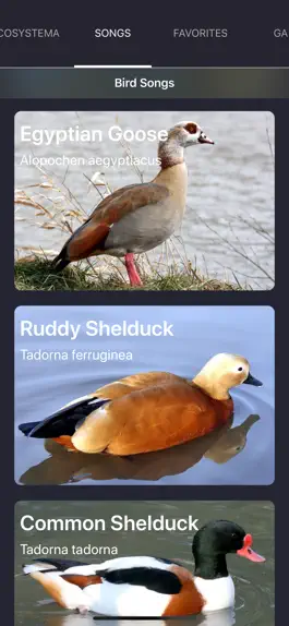 Game screenshot Bird Sounds and Bird Calls mod apk