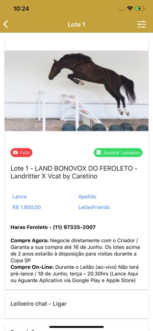 Leilão Friends(圖3)-速報App