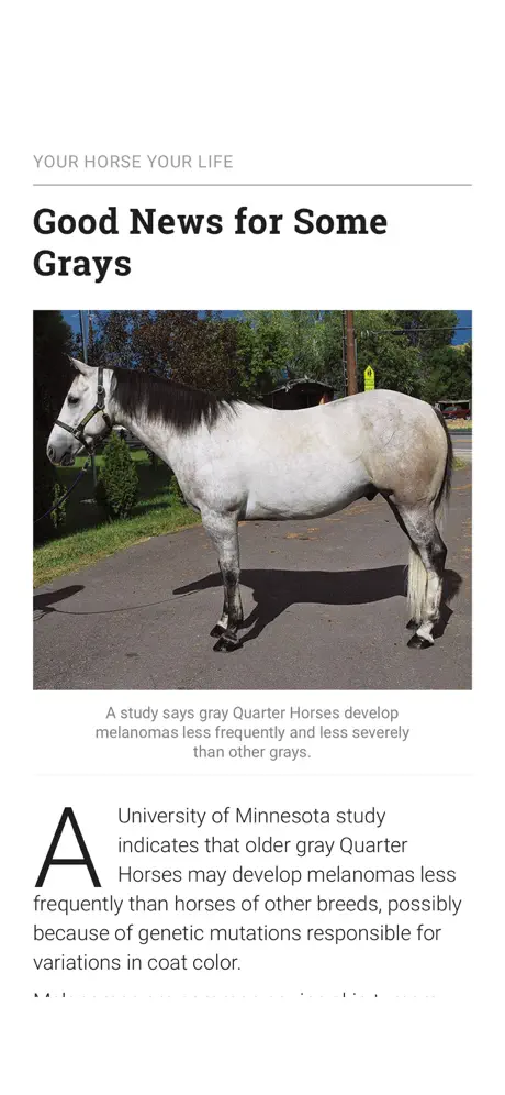 Horse&Rider USA