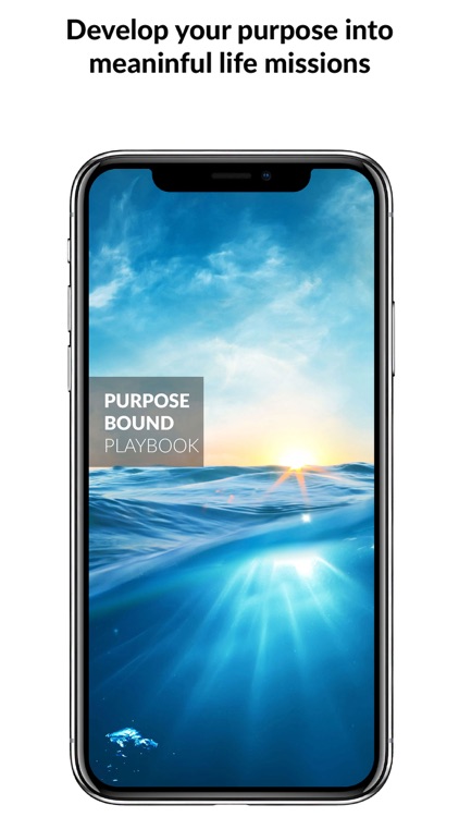 Purpose Bound Playbook