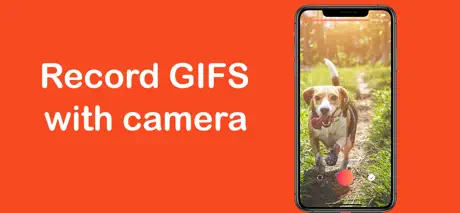 GIF Maker · Video to GIF