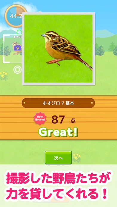 鳥マスター！のおすすめ画像1