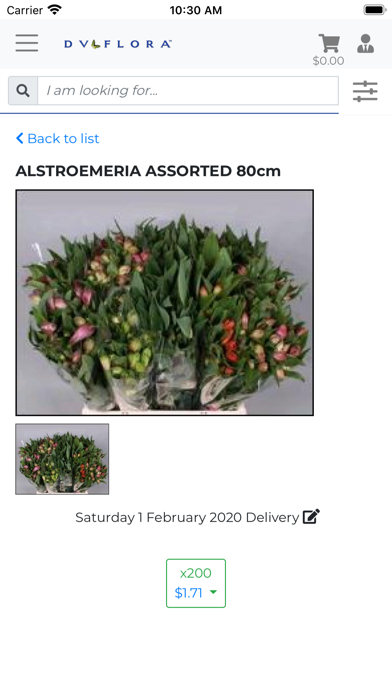 DV Flora Dutch Direct Shop Screenshot