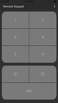 Remote Keypad iphone bilder 1