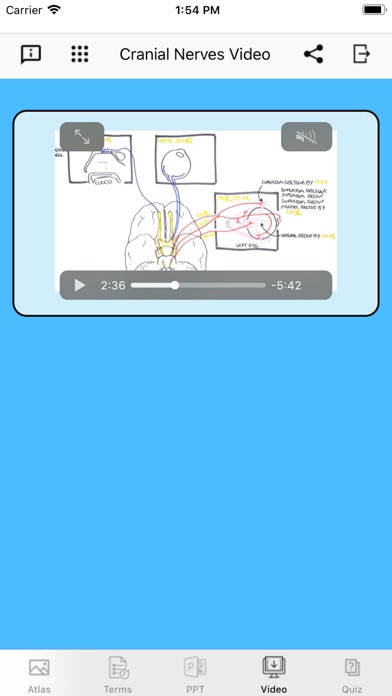 Cranial Nerves Plus Screenshot 4 of 10