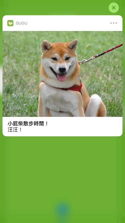 GuGu - 提醒你重要的小事