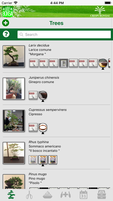 MyBonsai Screenshot