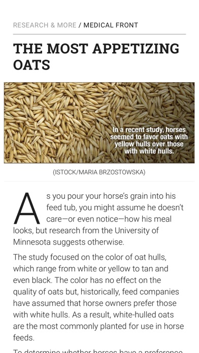 EQUUS Magazine Screenshot