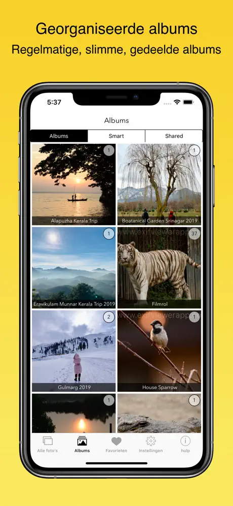 EXIF Viewer by Fluntro