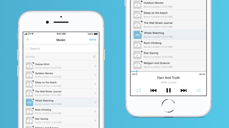Music Cloud - offline player