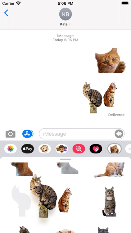 Cat photo sticker screenshot-3