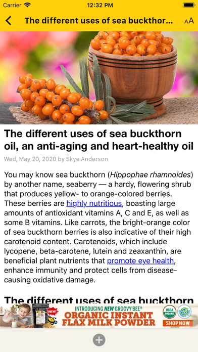 Screenshot #2 pour Groovy Bee App