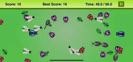 Jardín: atrapa insectos