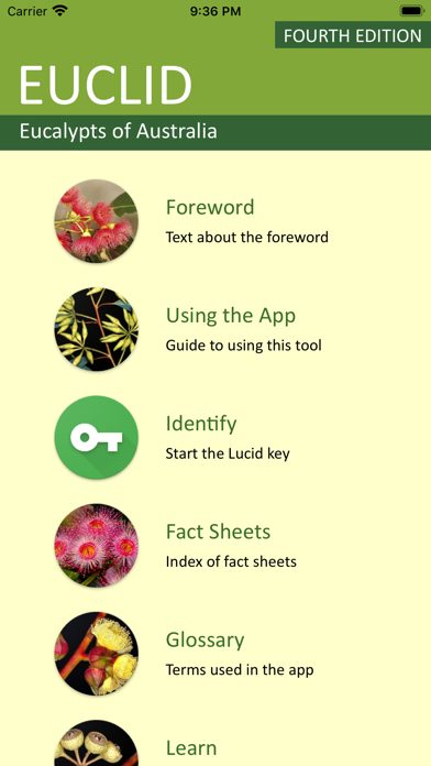 EUCLID Eucalypts of Australia Screenshot
