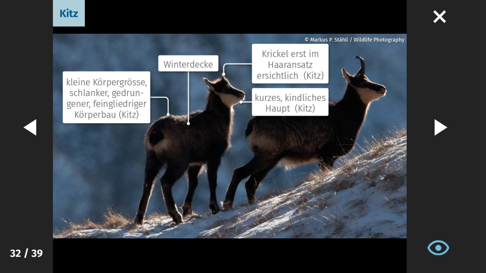 #3. Jagd-Lern App (iOS) 由: Sichtwerk AG
