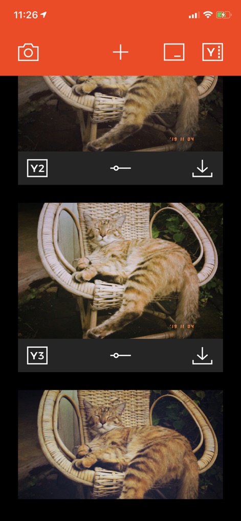 Filmlike Camera - filmlike-camera-retro-filters-cat-photo