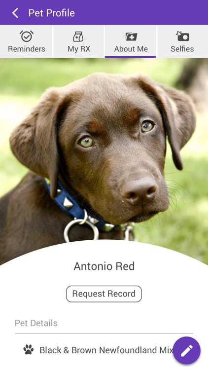 vets for pets hilltop