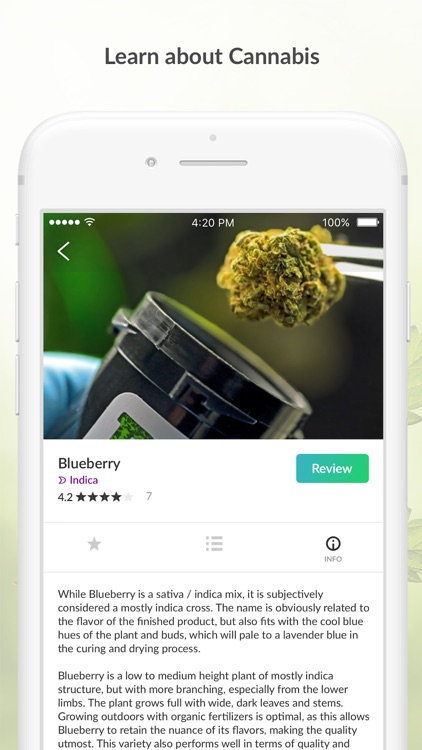 MassRoots Medical Cannabis