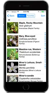 glacier wildflowers iphone screenshot 4