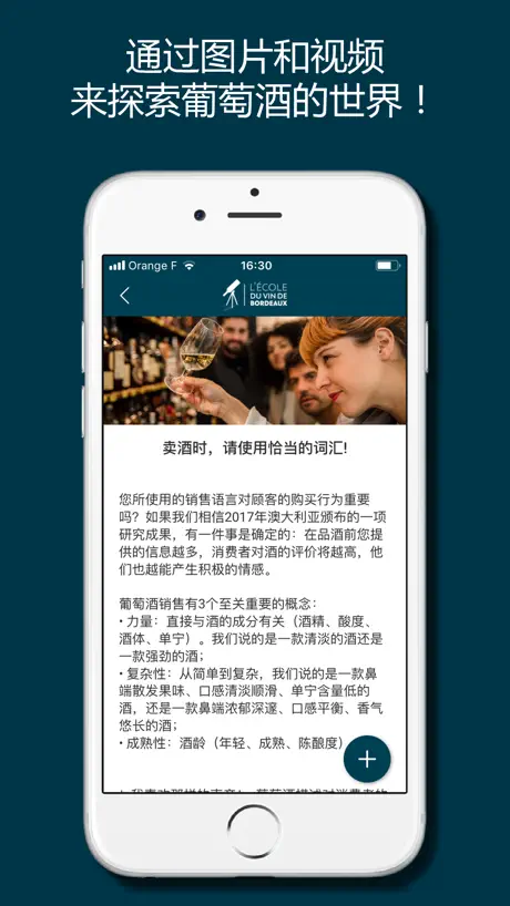 掌上波尔多