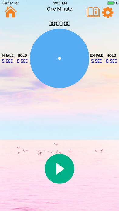 Screenshot #2 pour Mindfulness Breathing