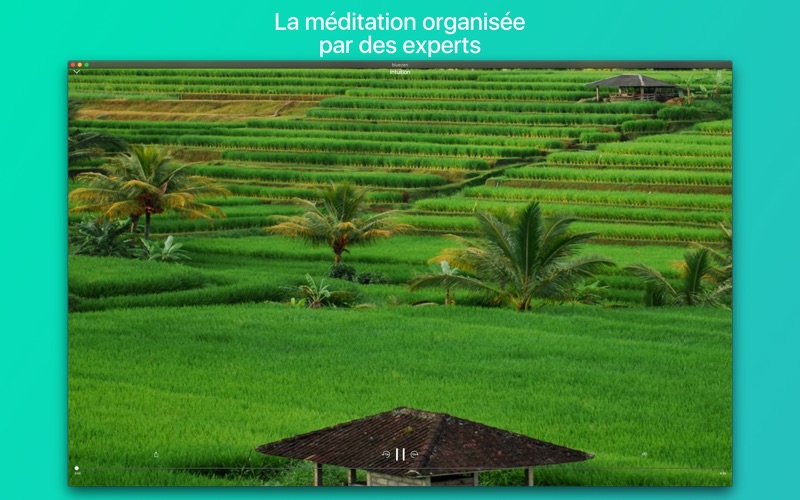 Screenshot #2 pour Bluezen - Mindfulness and Zen