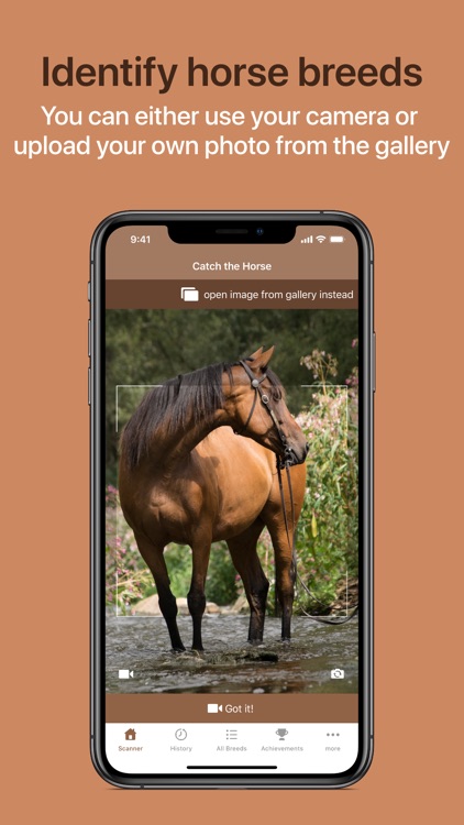 Horse Scanner