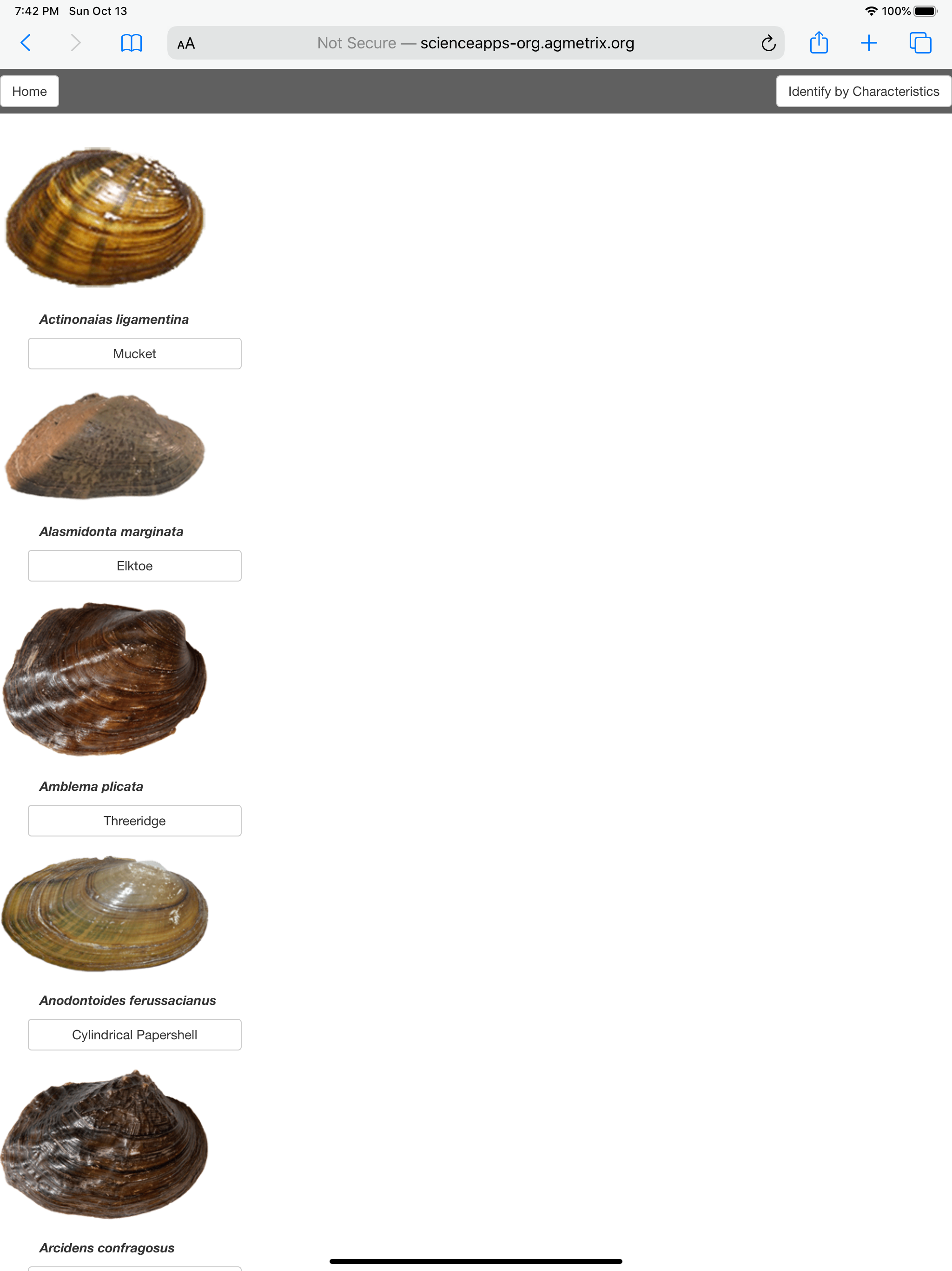 MusselID