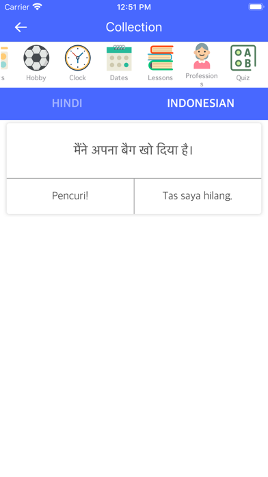 Screenshot #3 pour Hindi Indonesian Dictionary