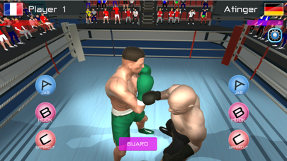 Summer Games Boxing screenshot 2