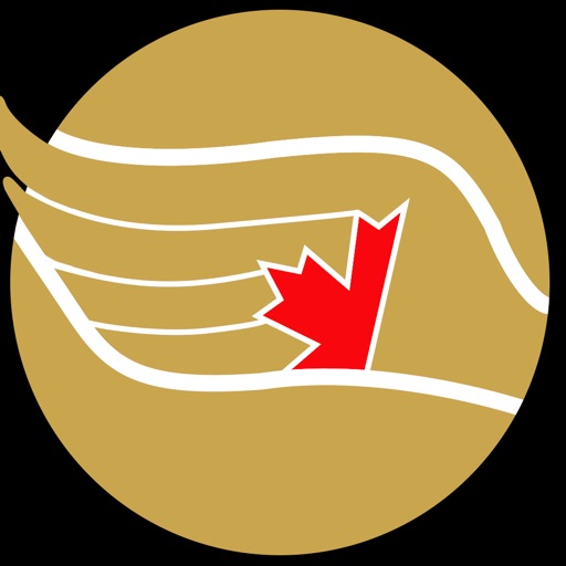 Global 911 International