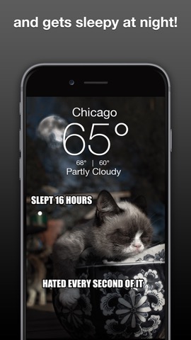 Grumpy Cat's Funny Weatherのおすすめ画像3