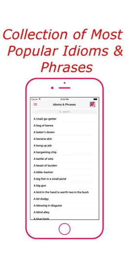 Game screenshot Idioms & Phrases (English) mod apk