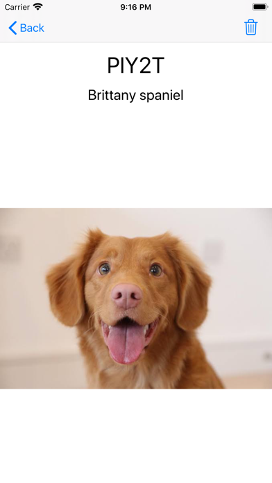 Screenshot #1 pour Whats the dog?
