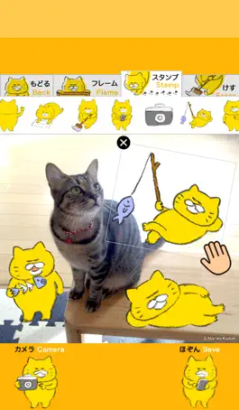 Game screenshot Stray Cats Camera hack