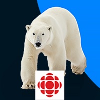 Aventure en Arctique sur PC