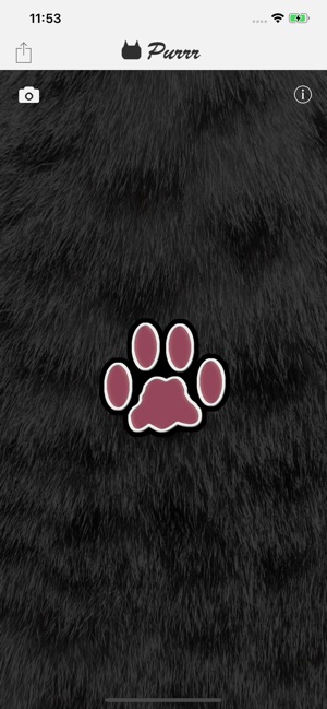 Purrr(圖2)-速報App