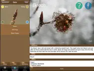 Winter Tree Id - British Isles ipad bilder 3